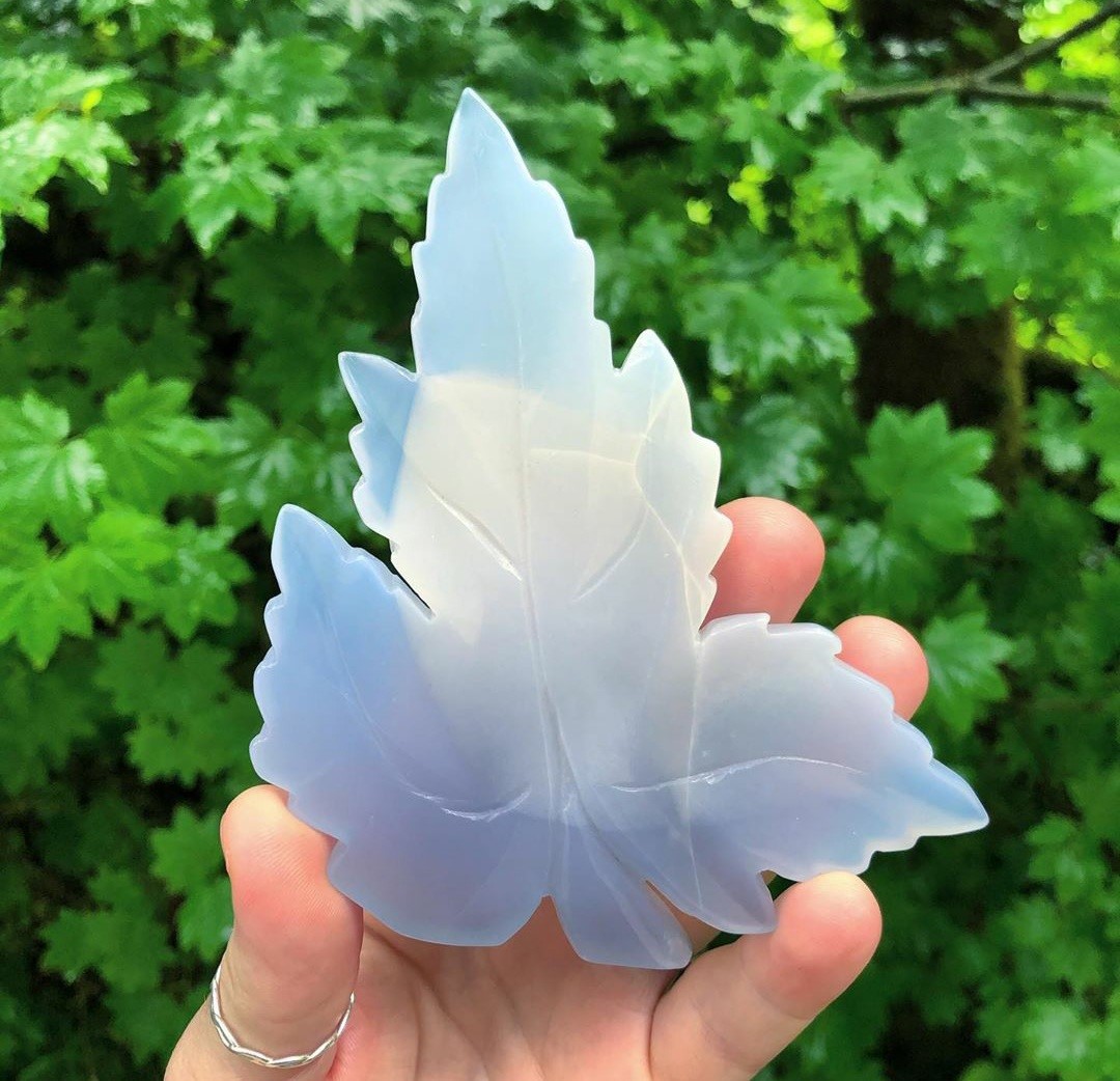 blue chalcedony leaf